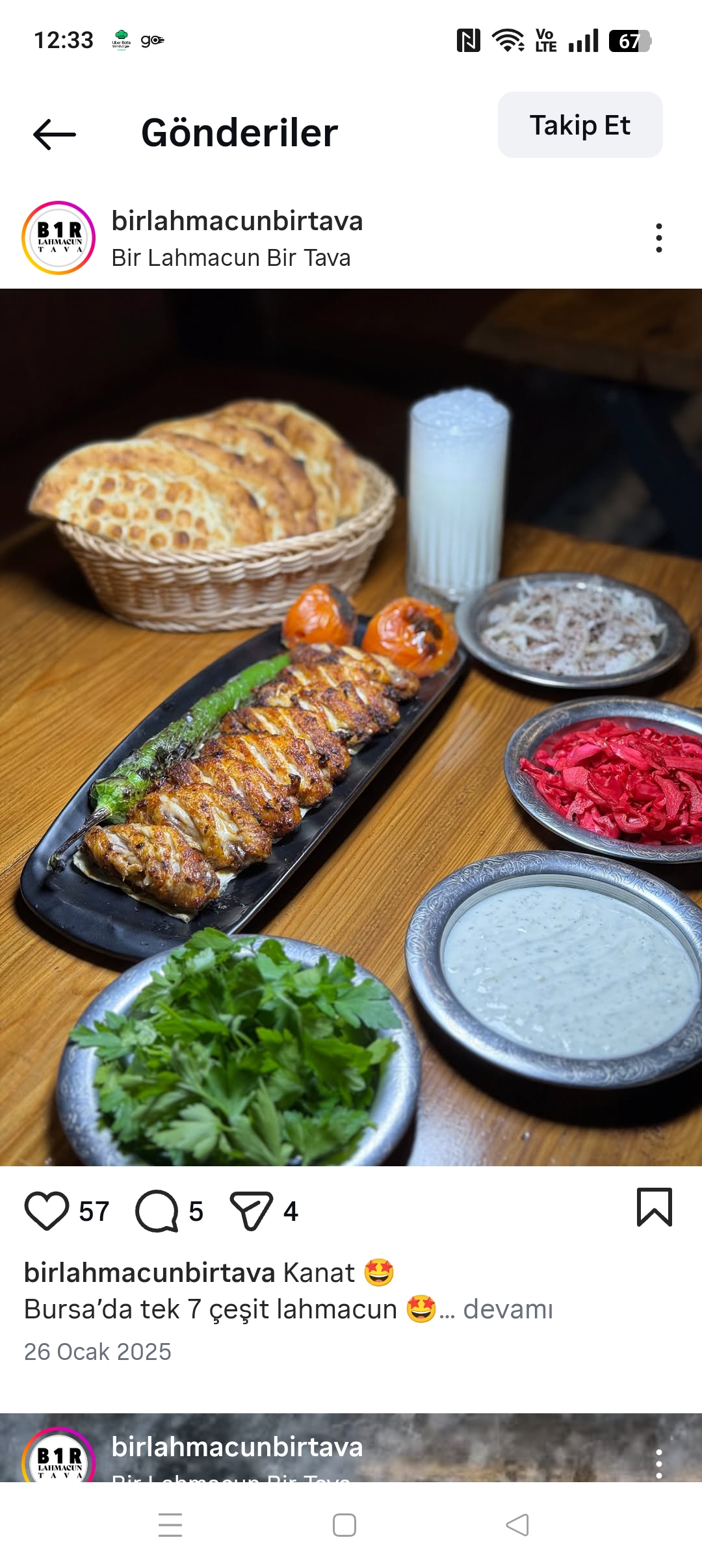 Yaprak kanat